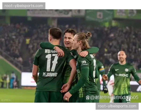 佩奇诺维奇5球沃尔夫斯堡前锋 门前把握机会能力稳定